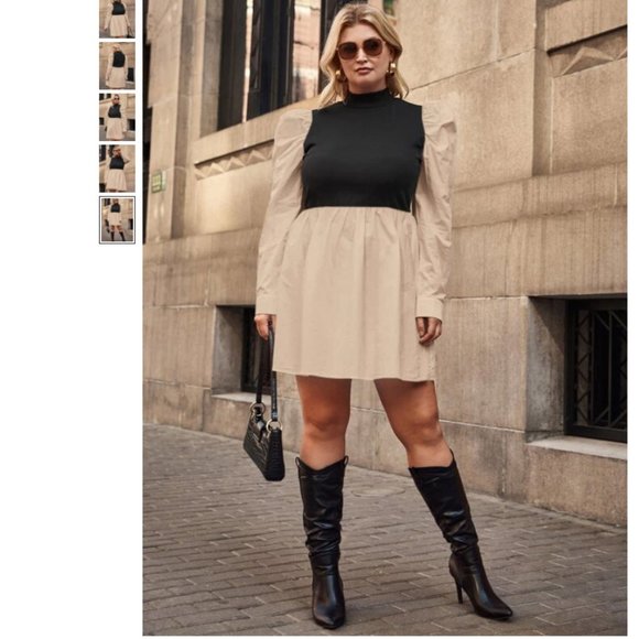 Dresses & Skirts - Plus Size Mock Neck Chic Dress